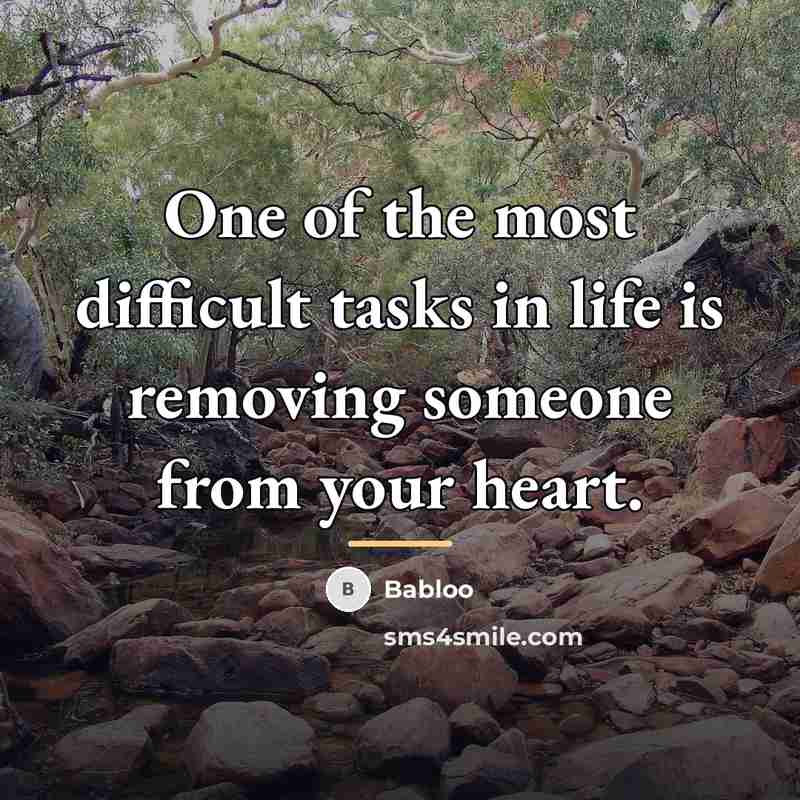 “One of the most difficult tasks in life is removing…” quote by Babloo
