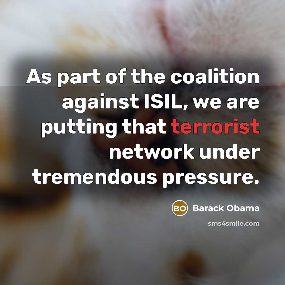 “As part of the coalition against ISIL, we are putting…” quote by Barack Obama