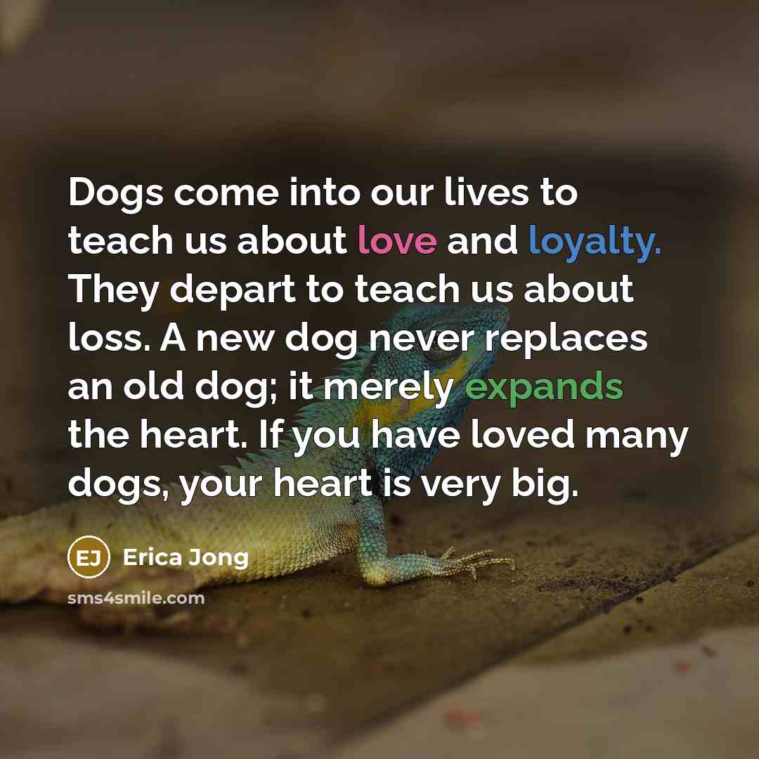 “Dogs come into our lives to teach us about love and loyalty. They depart to teach us about loss. A new dog never replaces an old dog; it merely expands the heart. If you have loved many dogs, your heart is very big.” quote by Erica Jong