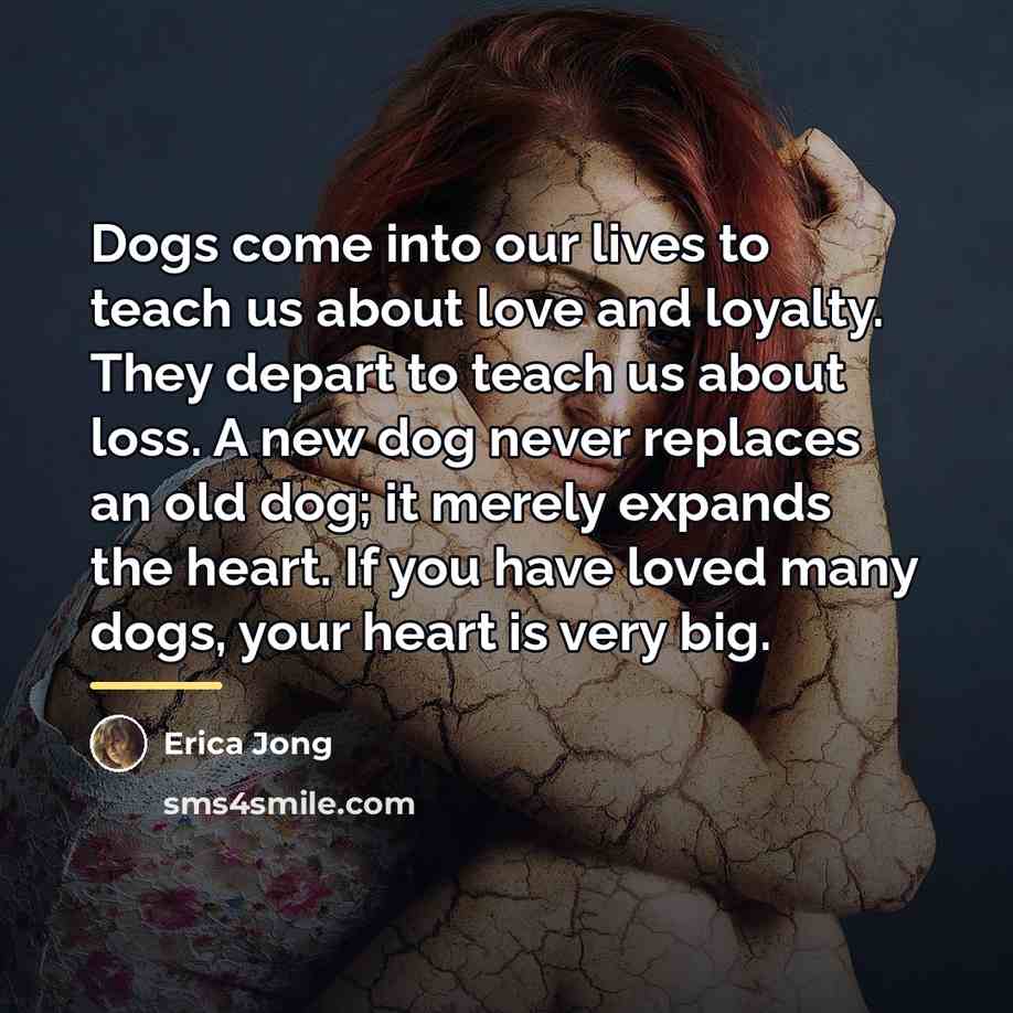 “Dogs come into our lives to teach us about love…” quote by Erica Jong