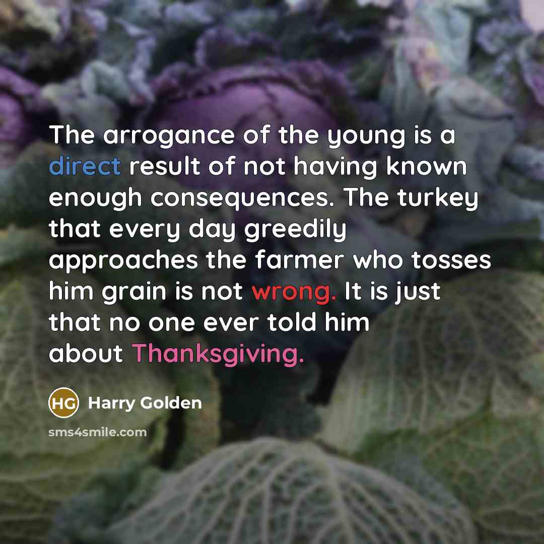 “The arrogance of the young is a direct result of…” quote by Harry Golden