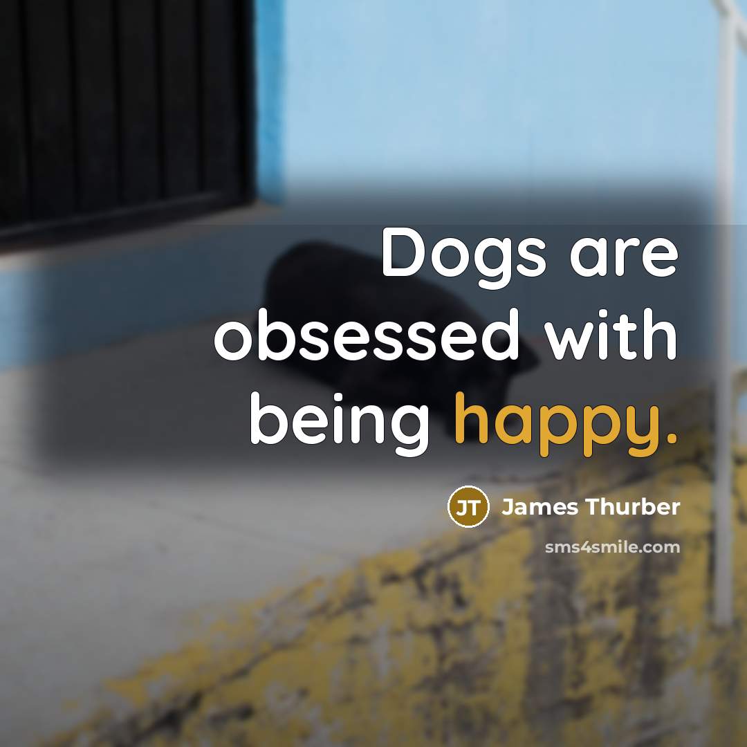 “Dogs are obsessed with being happy.…” quote by James Thurber