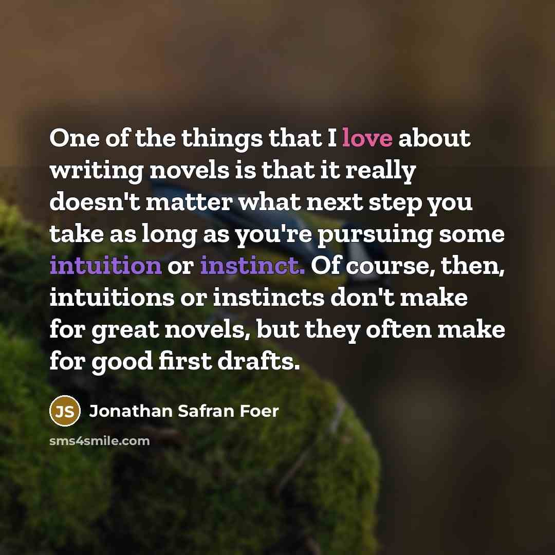 “One of the things that I love about writing novels…” quote by Jonathan Safran Foer