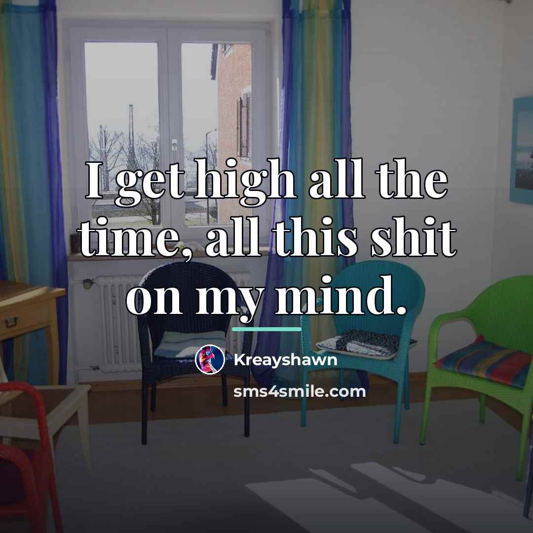 “I get high all the time, all this shit on…” quote by Kreayshawn