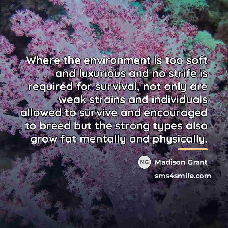 “Where the environment is too soft and luxurious and no…” quote by Madison Grant