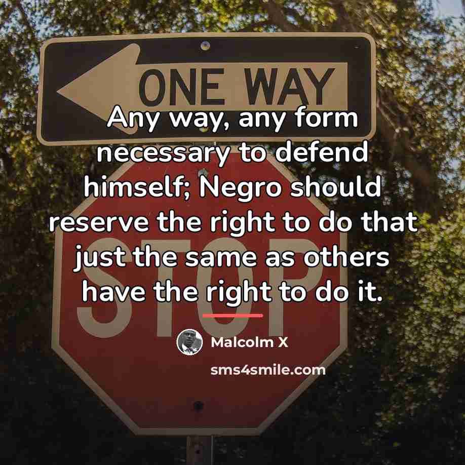 “Any way, any form necessary to defend himself; Negro should…” quote by Malcolm X