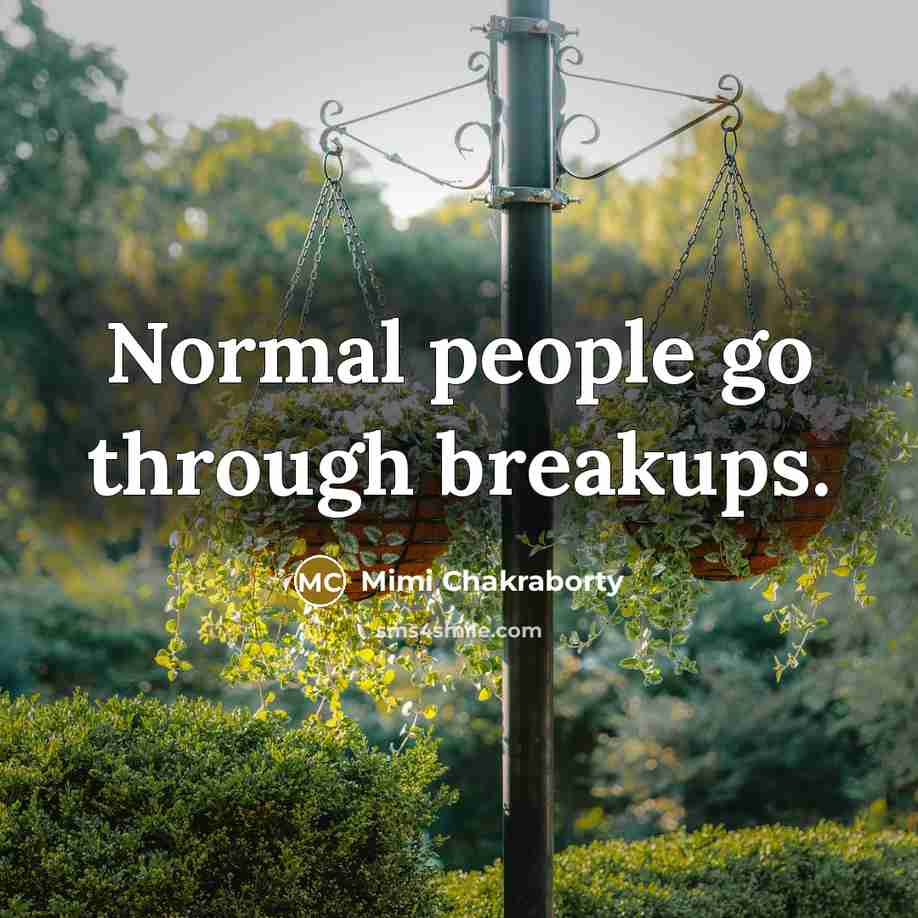 “Normal people go through breakups.…” quote by Mimi Chakraborty