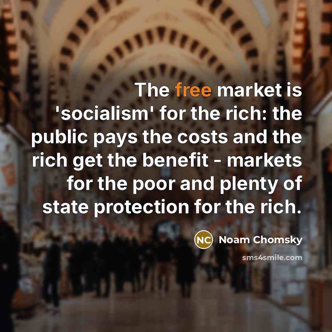 “The free market is 'socialism' for the rich: the public…” quote by Noam Chomsky