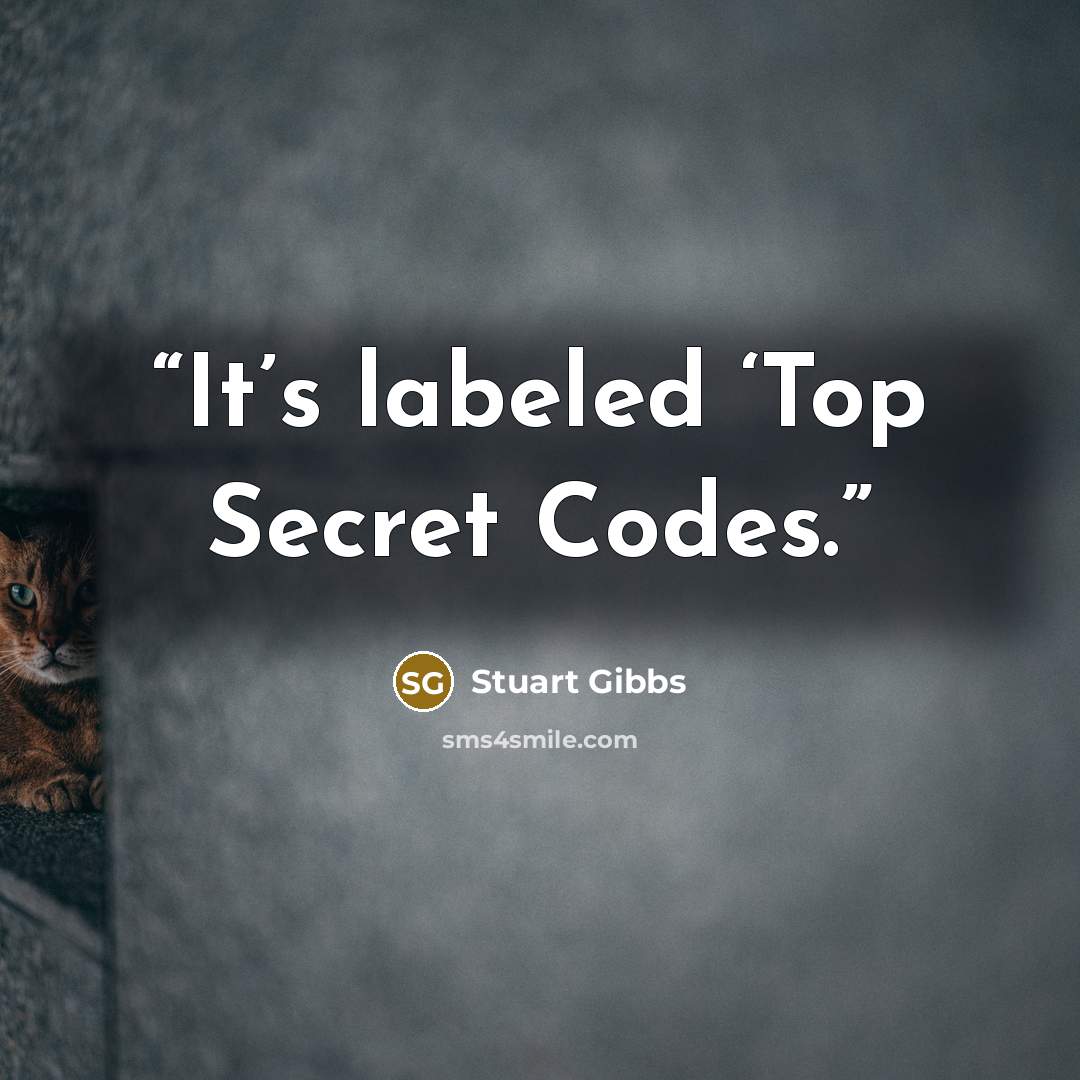 “It’s labeled ‘Top Secret Codes.” quote by Stuart Gibbs