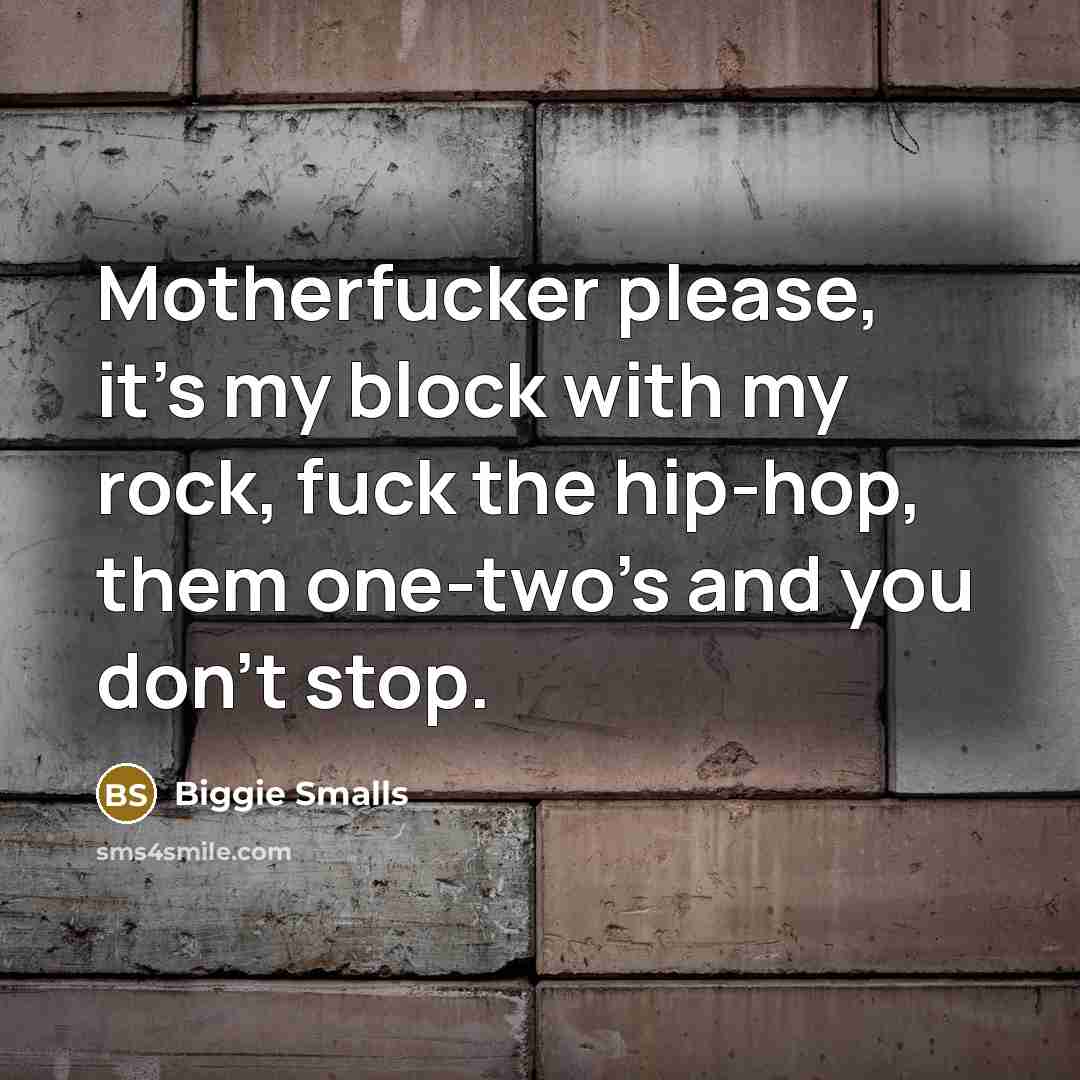 “Motherfucker please, it's my block with my rock, fuck the hip-hop, them one-two's and you don't stop.” quote by Biggie Smalls