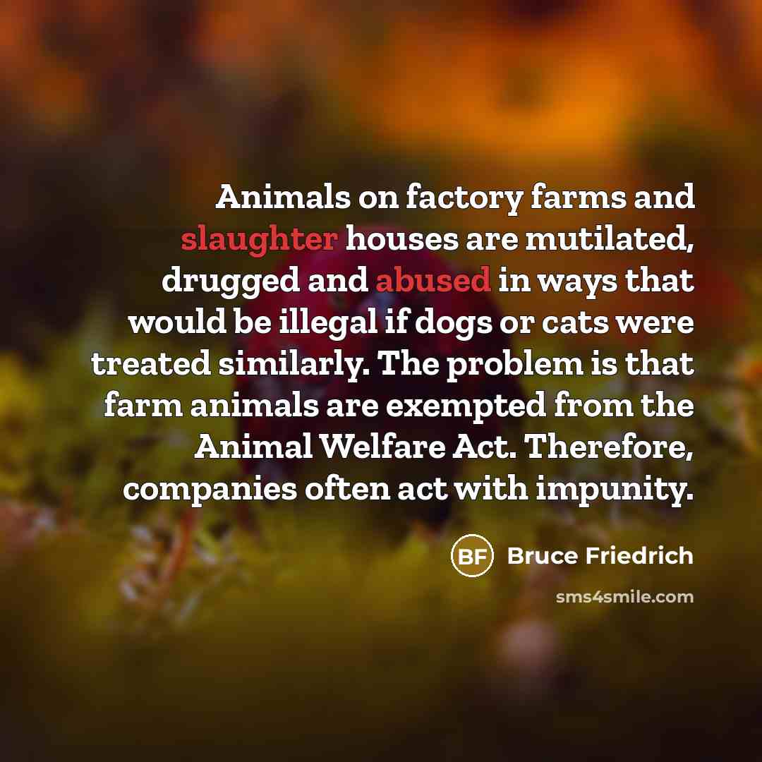 “Animals on factory farms and slaughter houses are mutilated, drugged…” quote by Bruce Friedrich