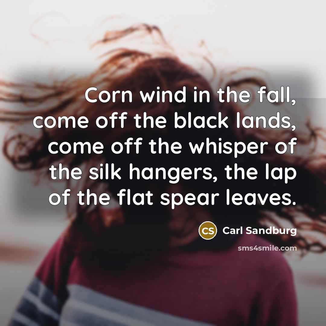 “Corn wind in the fall, come off the black lands,…” quote by Carl Sandburg