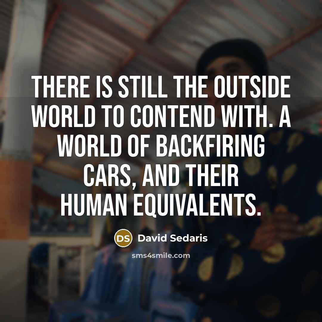 “There is still the outside world to contend with. A…” quote by David Sedaris