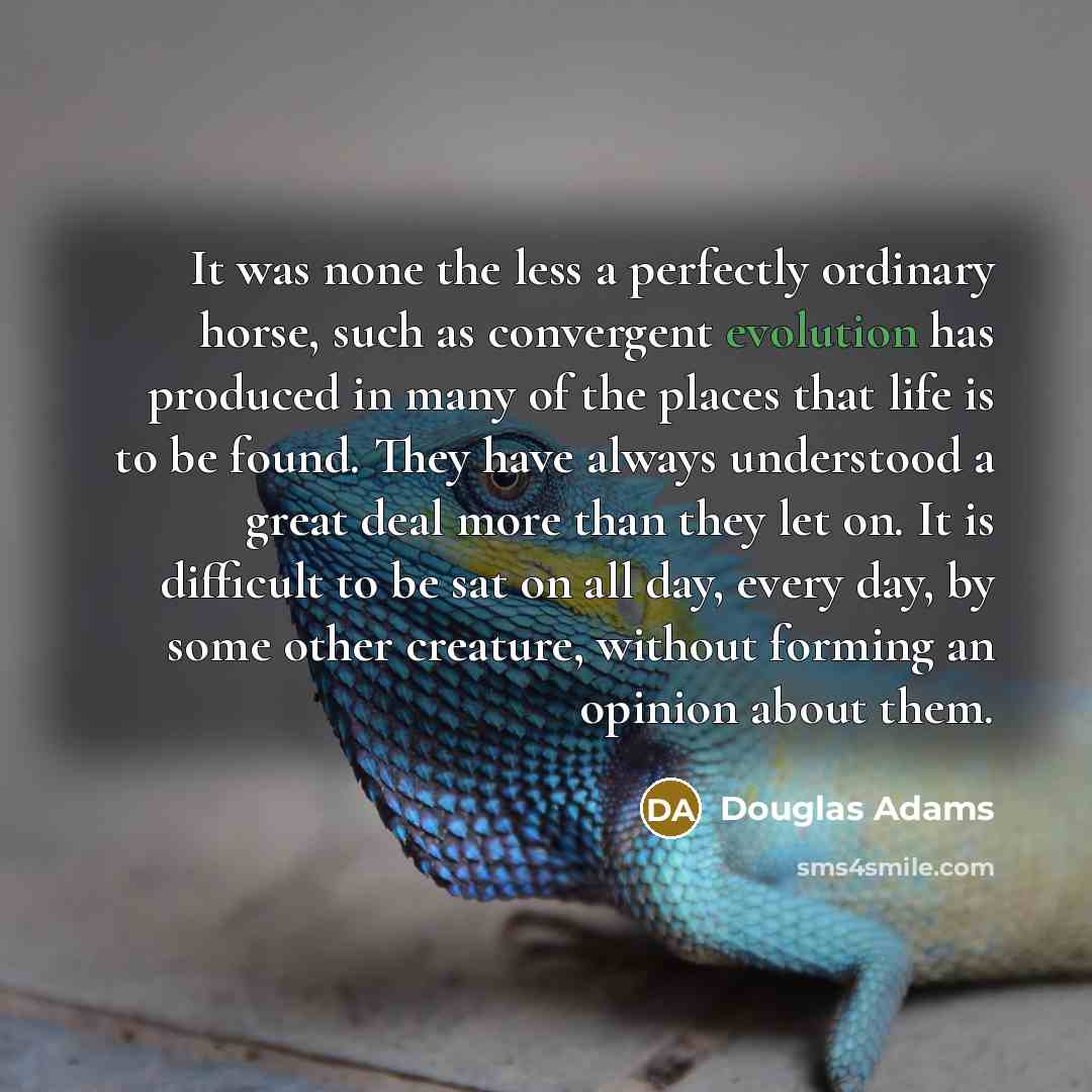 “It was none the less a perfectly ordinary horse, such…” quote by Douglas Adams