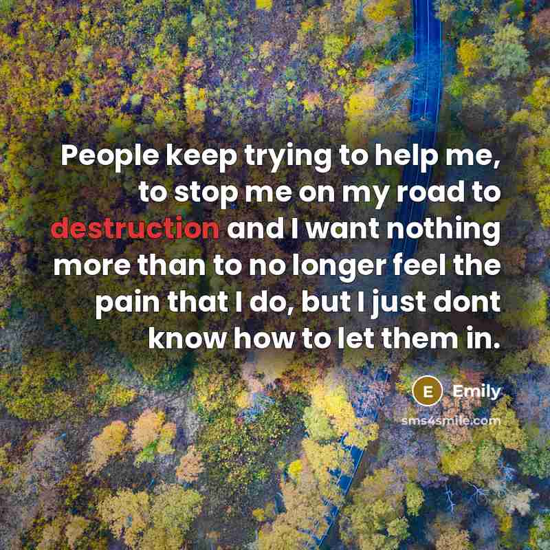 “People keep trying to help me, to stop me on…” quote by Emily