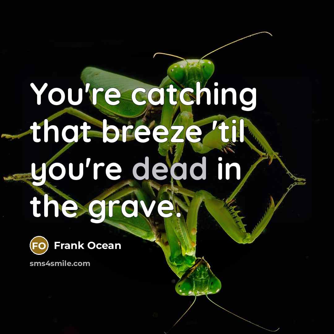 “You're catching that breeze 'til you're dead in the grave.…” quote by Frank Ocean