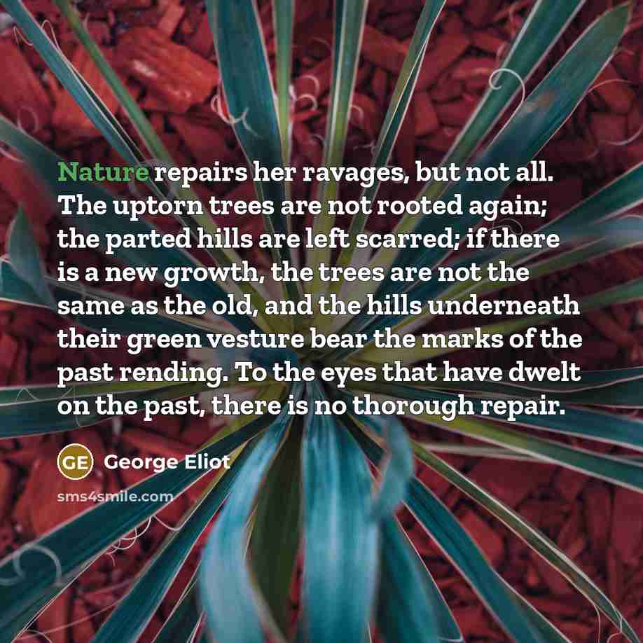 “Nature repairs her ravages, but not all. The uptorn trees…” quote by George Eliot