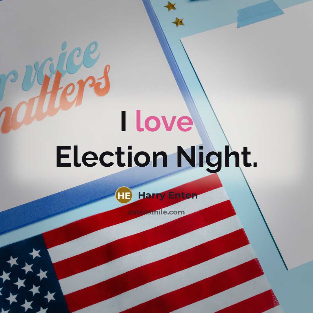 “I love Election Night.…” quote by Harry Enten