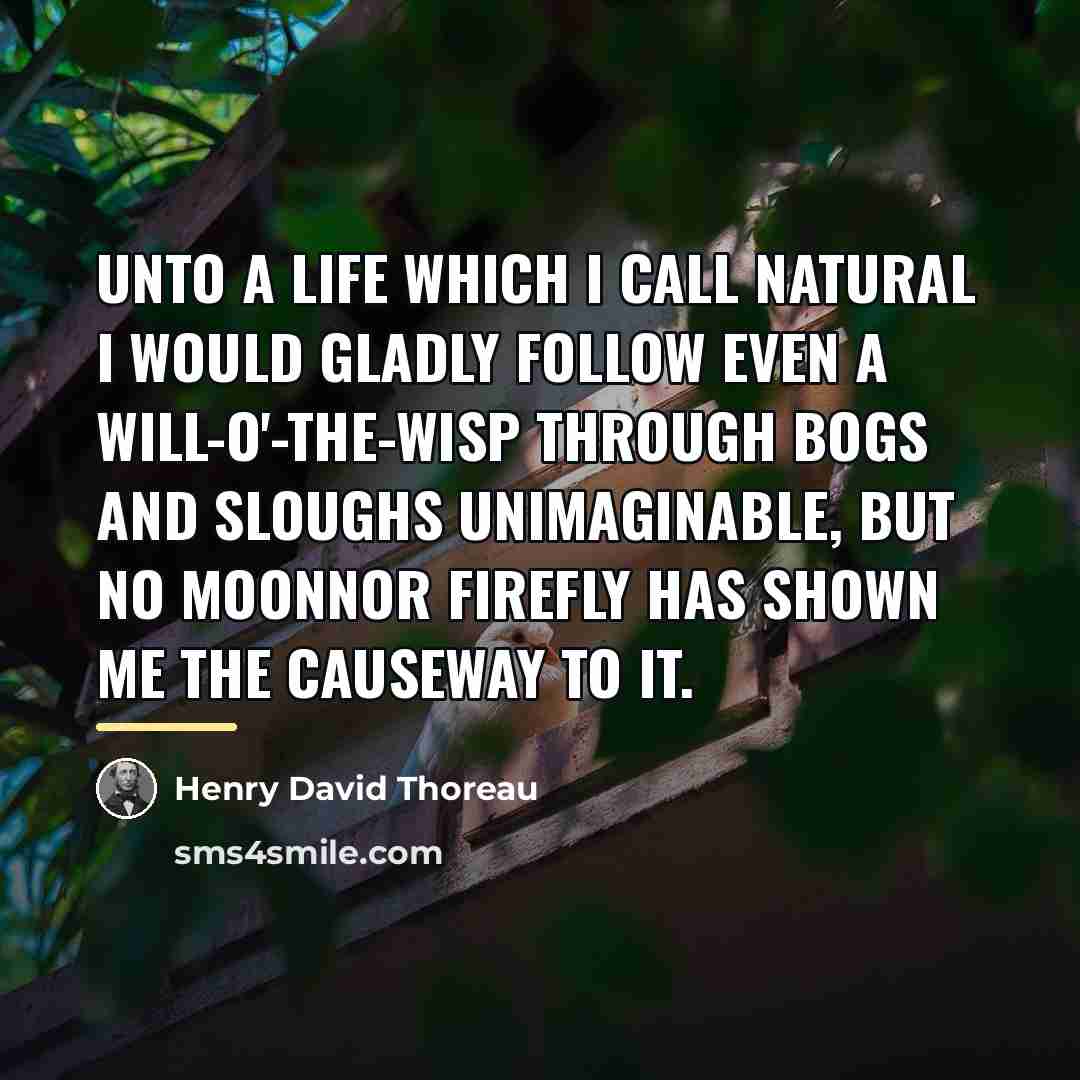 “Unto a life which I call natural I would gladly…” quote by Henry David Thoreau