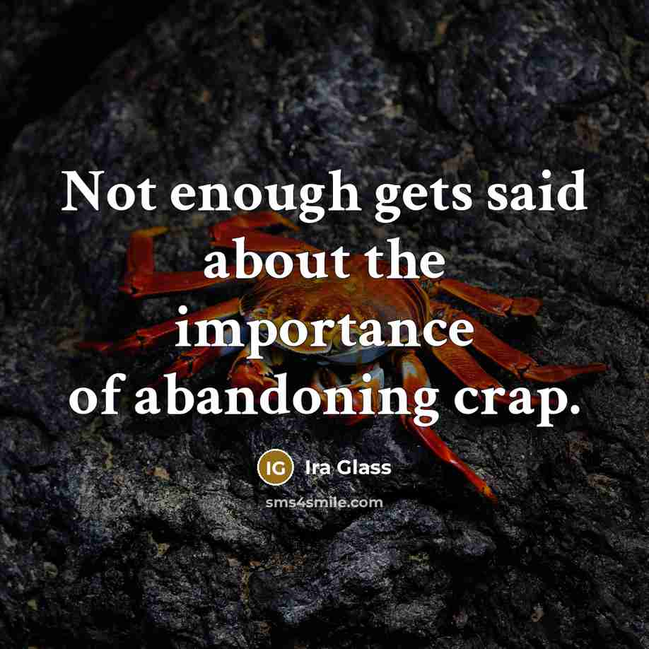 “Not enough gets said about the importance of abandoning crap.…” quote by Ira Glass
