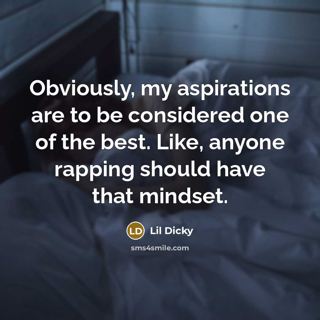 “Obviously, my aspirations are to be considered one of the…” quote by Lil Dicky