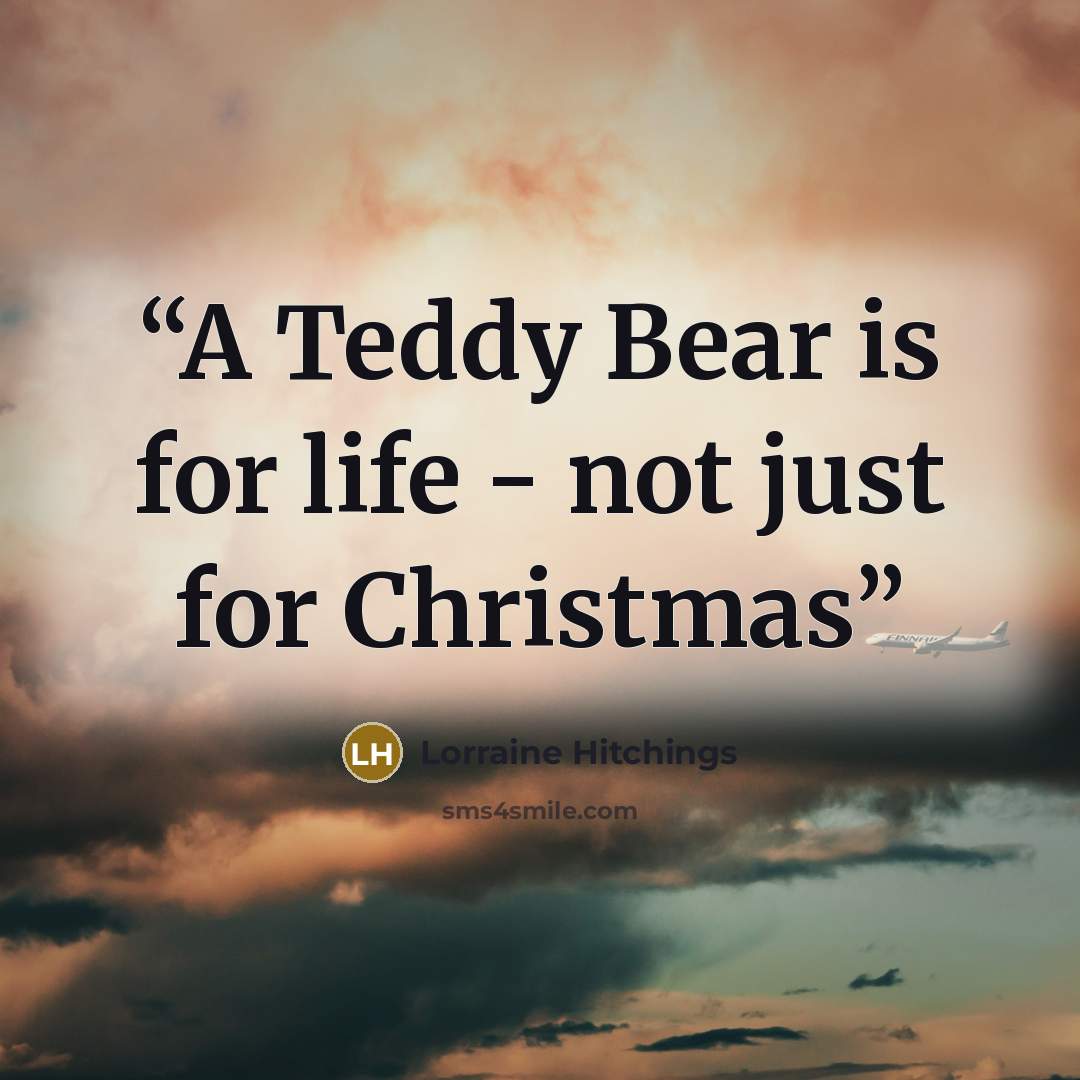 “A Teddy Bear is for life - not just for Christmas” quote by Lorraine Hitchings