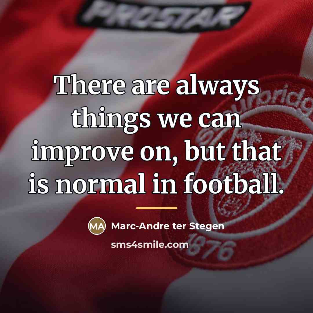 “There are always things we can improve on, but that…” quote by Marc-Andre ter Stegen