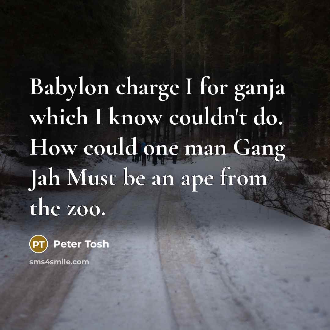 “Babylon charge I for ganja which I know couldn't do. How could one man Gang Jah Must be an ape from the zoo.” quote by Peter Tosh