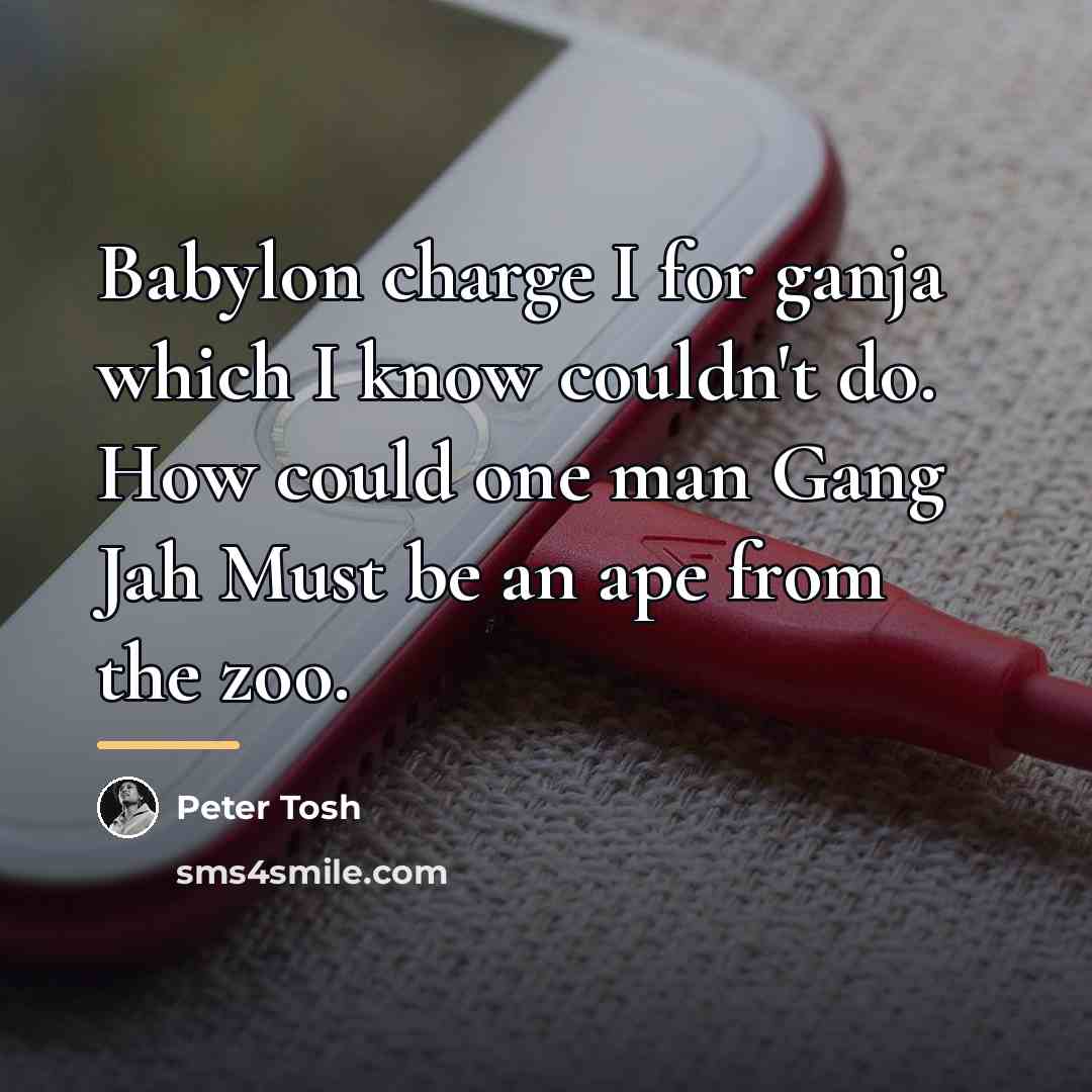 “Babylon charge I for ganja which I know couldn't do.…” quote by Peter Tosh