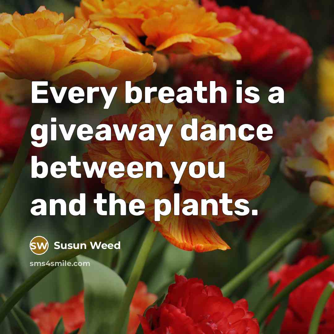 “Every breath is a giveaway dance between you and the plants.” quote by Susun Weed