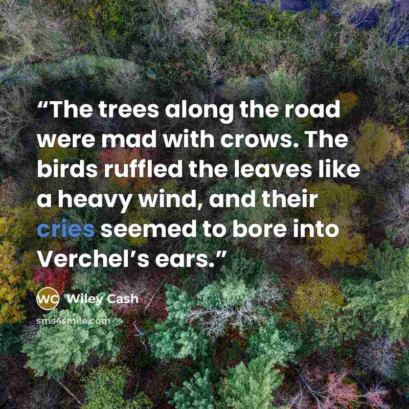 “The trees along the road were mad with crows. The birds ruffled the leaves like a heavy wind, and their cries seemed to bore into Verchel’s ears.” quote by Wiley Cash