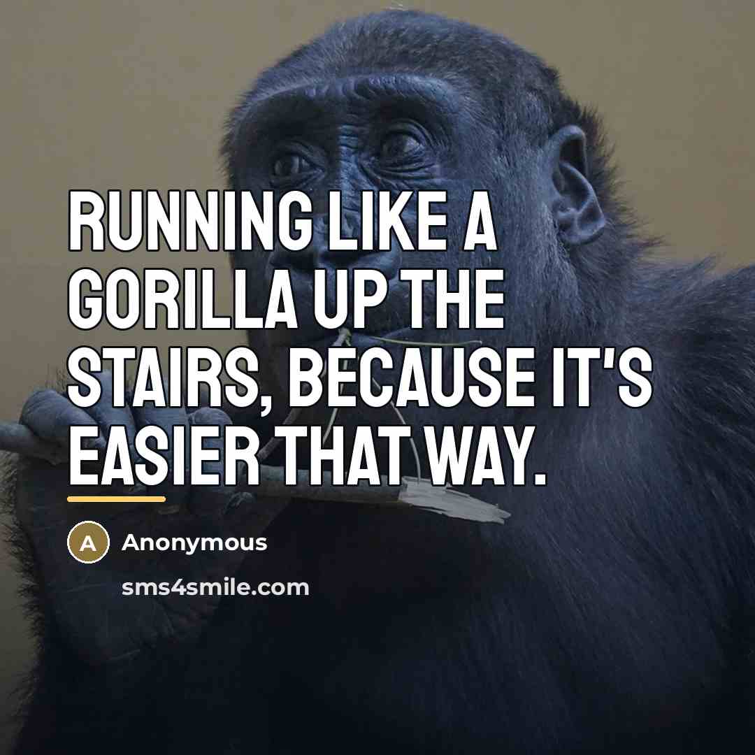 “Running like a gorilla up the stairs, because it's easier…” quote by Anonymous