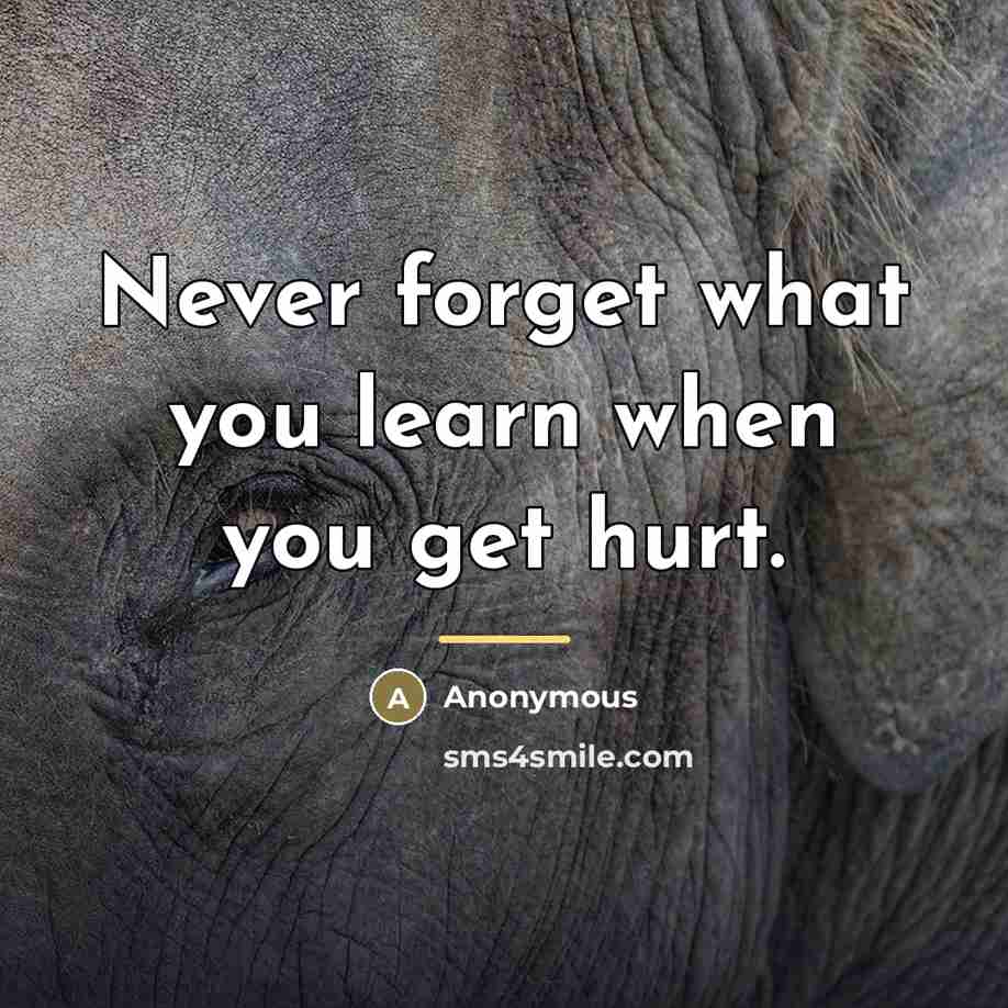 “Never forget what you learn when you get hurt.…” quote by Anonymous