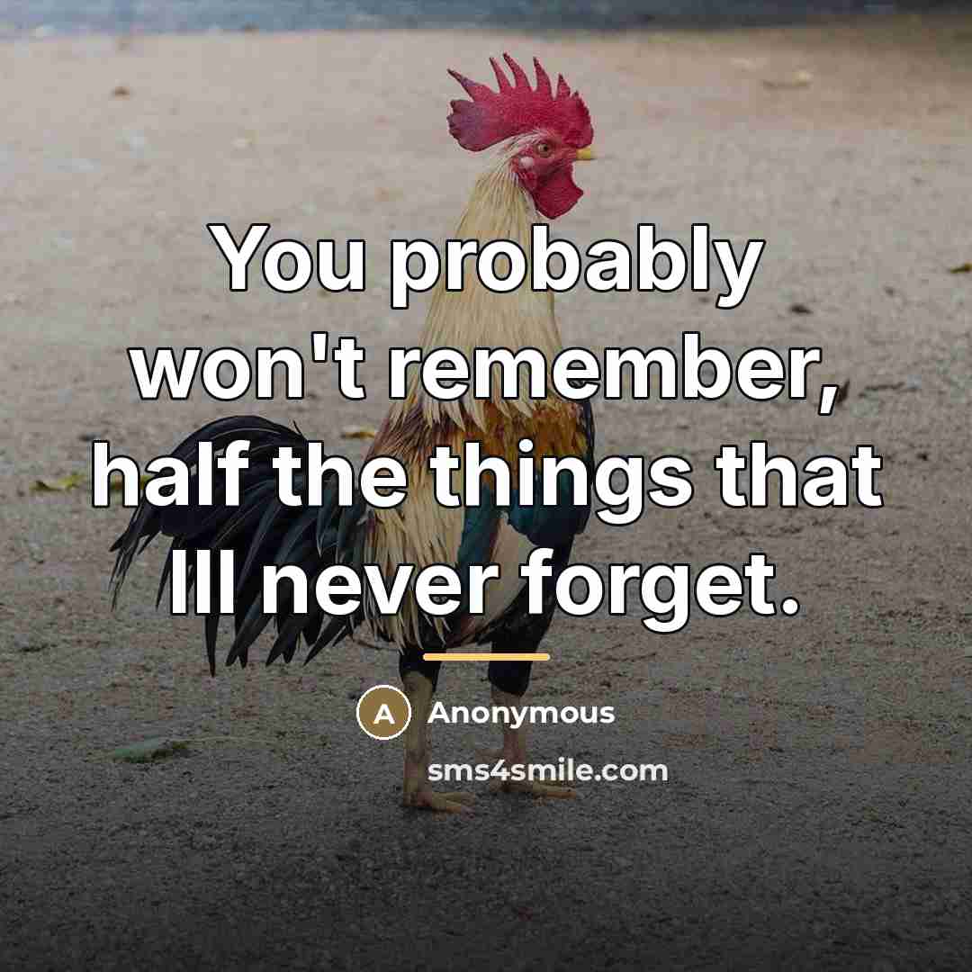 “You probably won't remember, half the things that Ill never…” quote by Anonymous