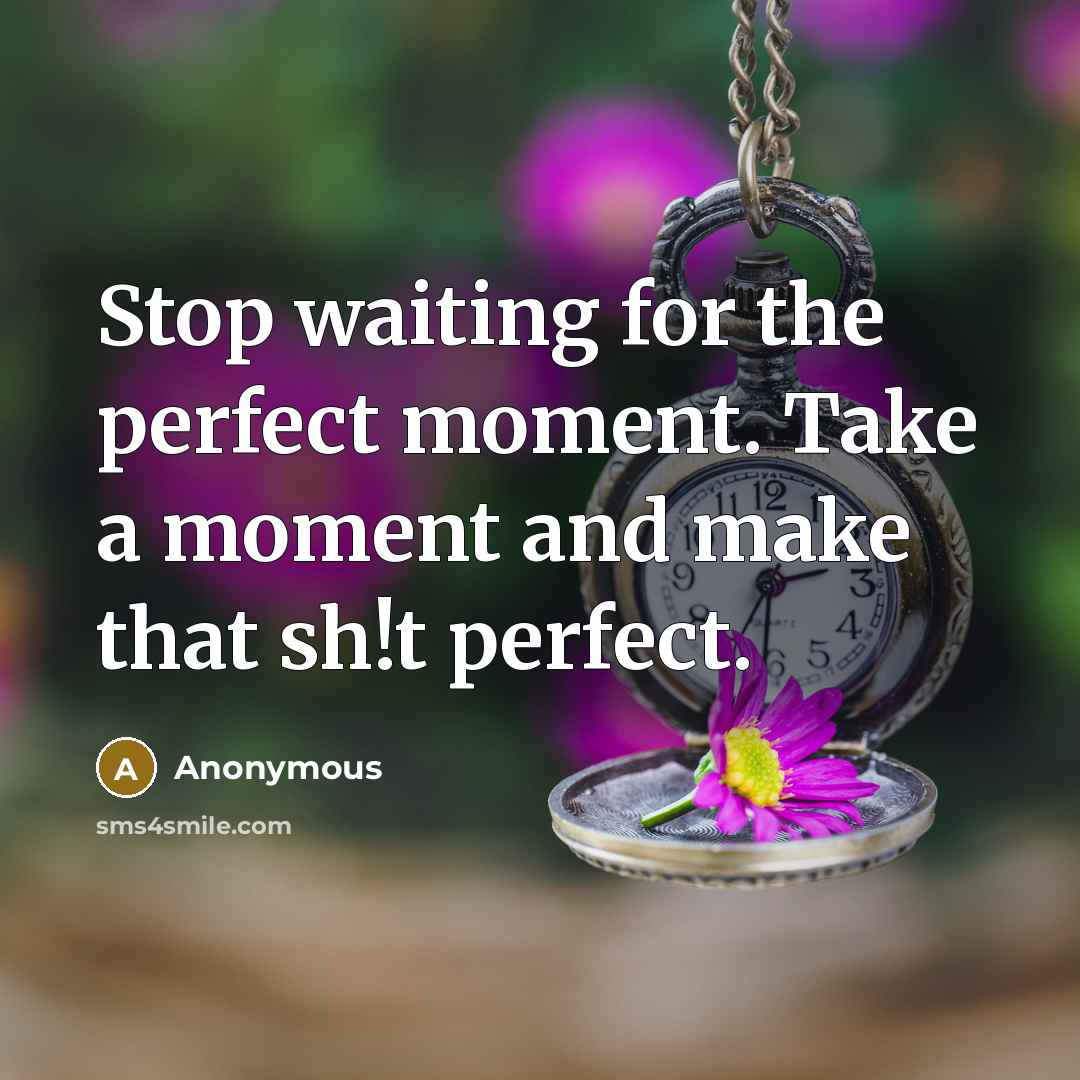 “Stop waiting for the perfect moment. Take a moment and make that sh!t perfect.” quote by Anonymous