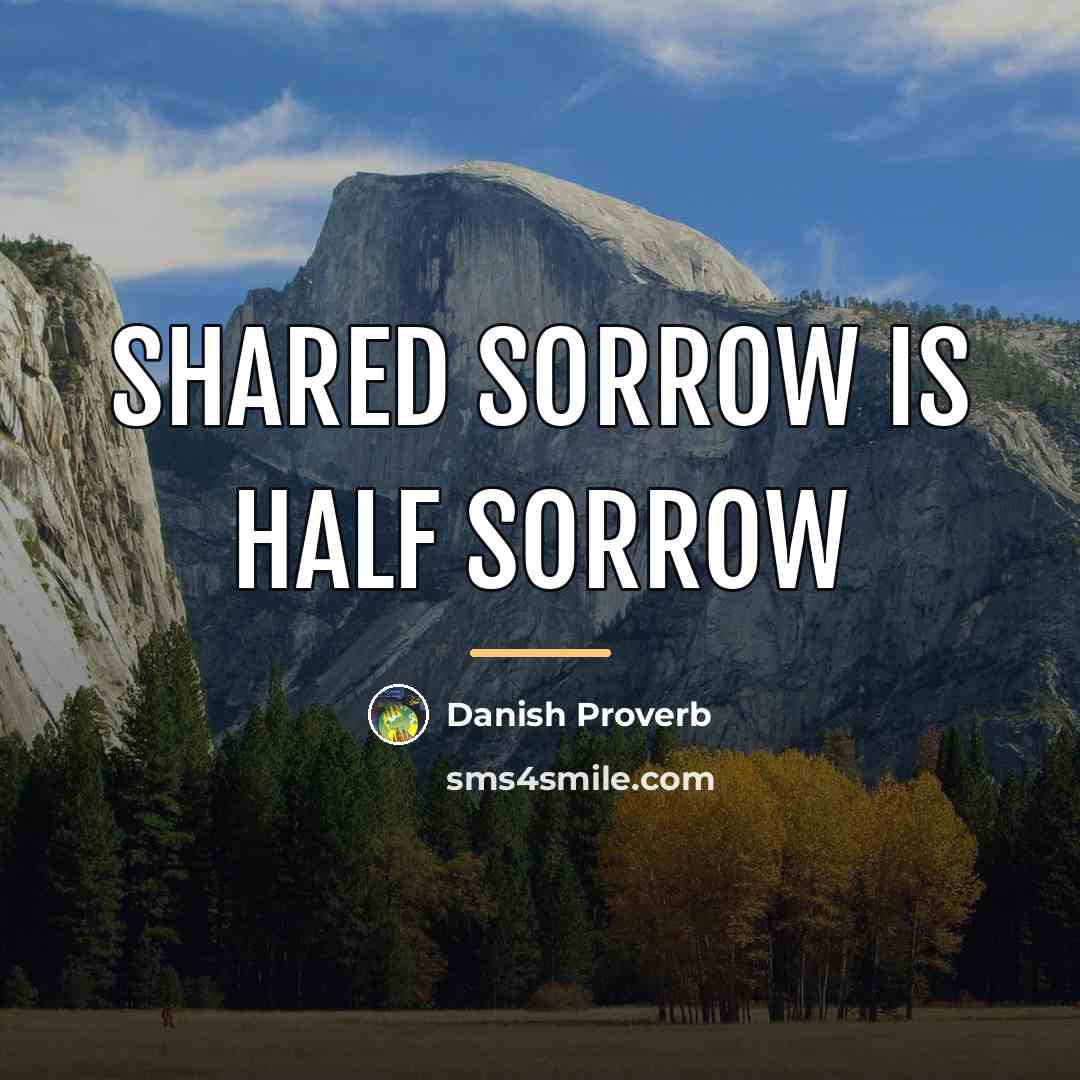 “Shared sorrow is half sorrow…” quote by Danish Proverb