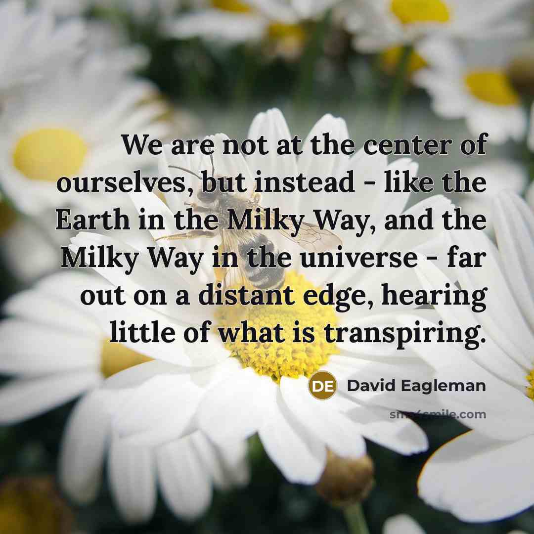 “We are not at the center of ourselves, but instead…” quote by David Eagleman