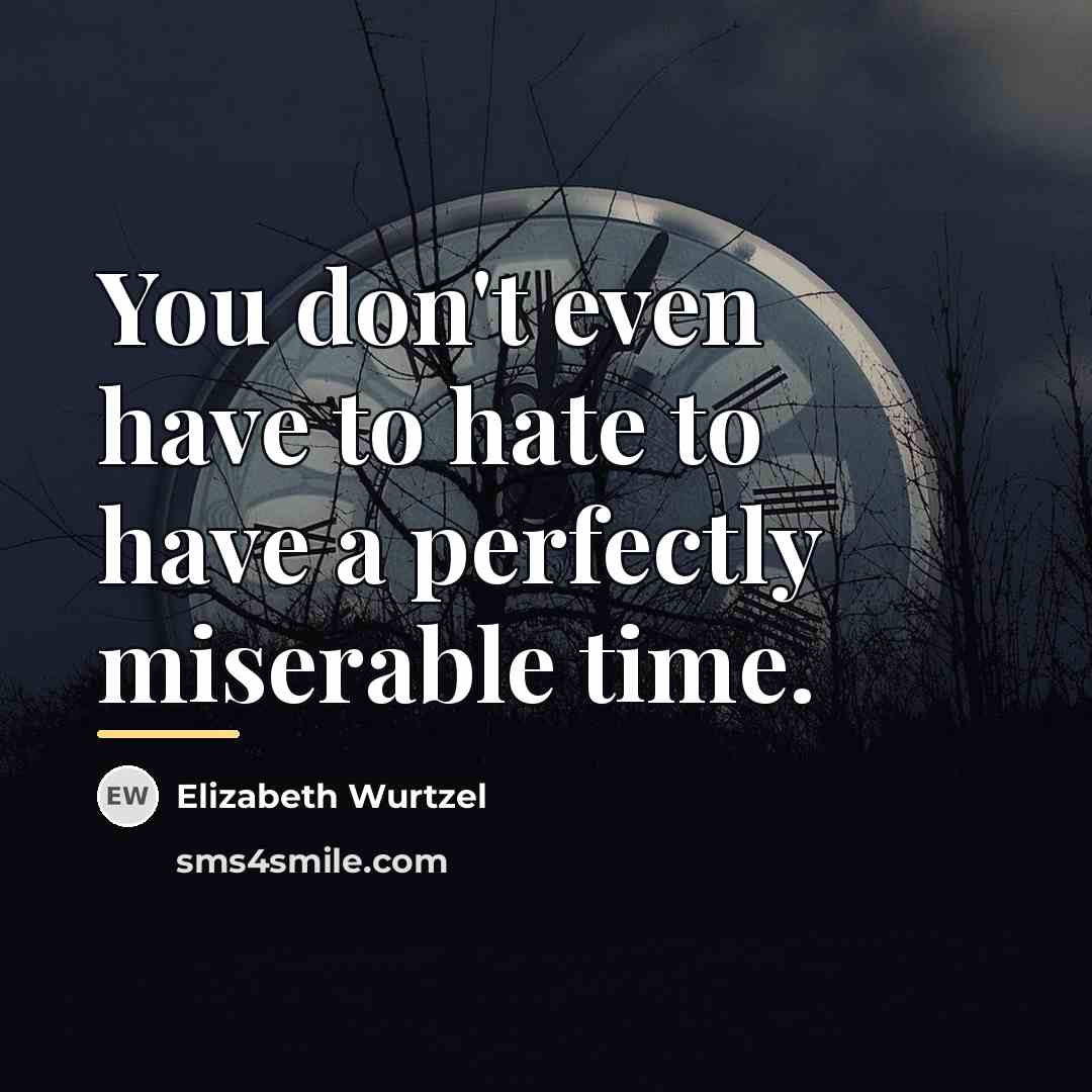 “You don't even have to hate to have a perfectly…” quote by Elizabeth Wurtzel