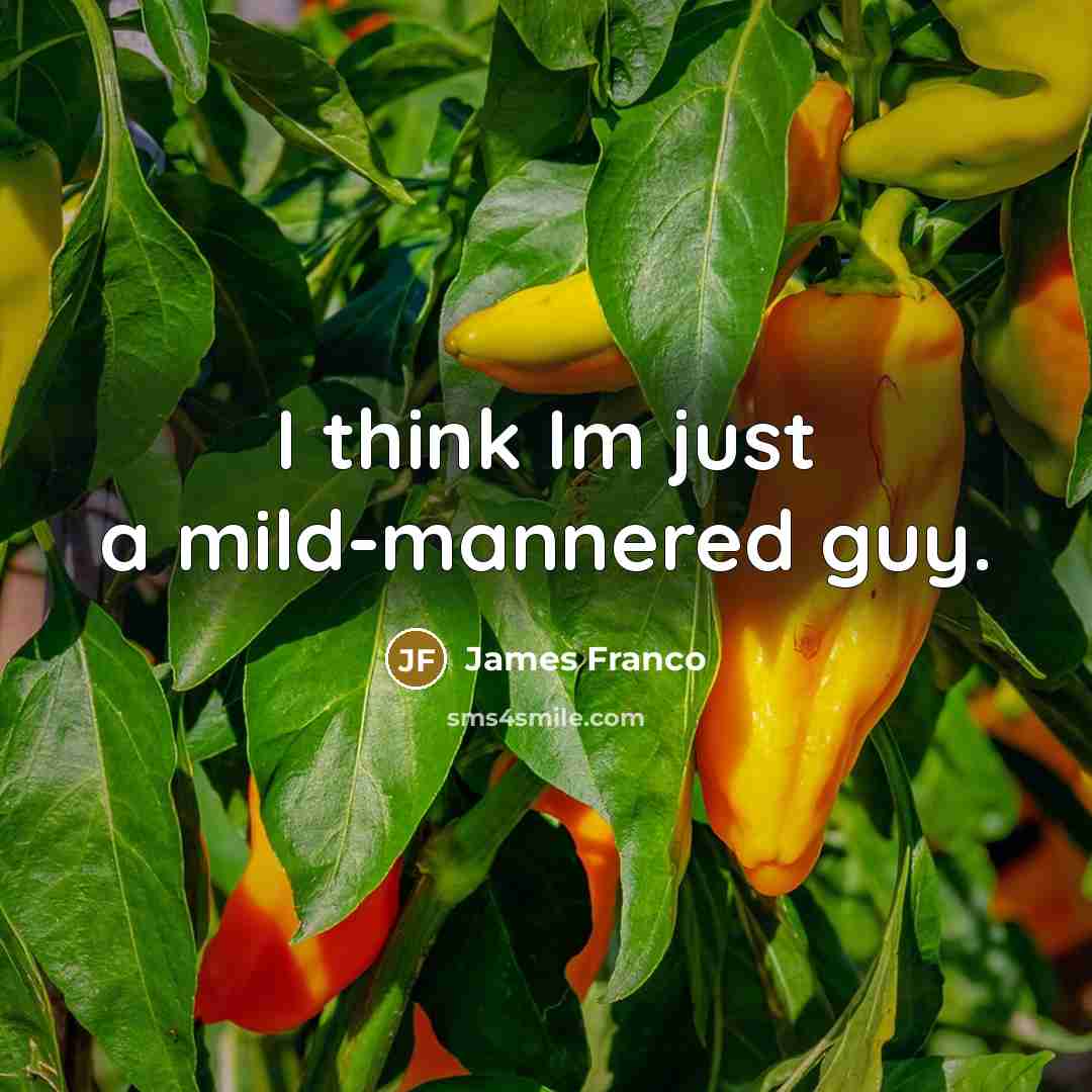 “I think Im just a mild-mannered guy.” quote by James Franco