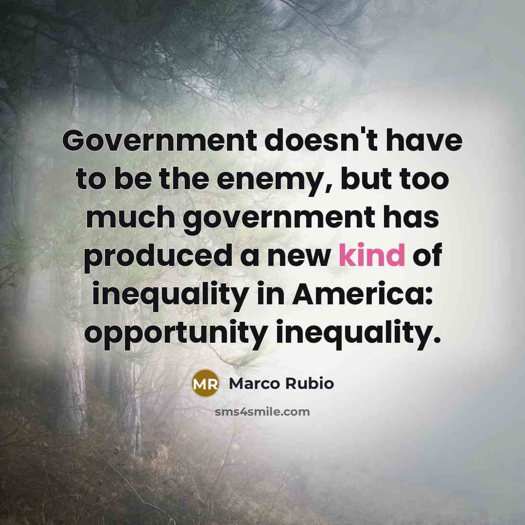 “Government doesn't have to be the enemy, but too much…” quote by Marco Rubio