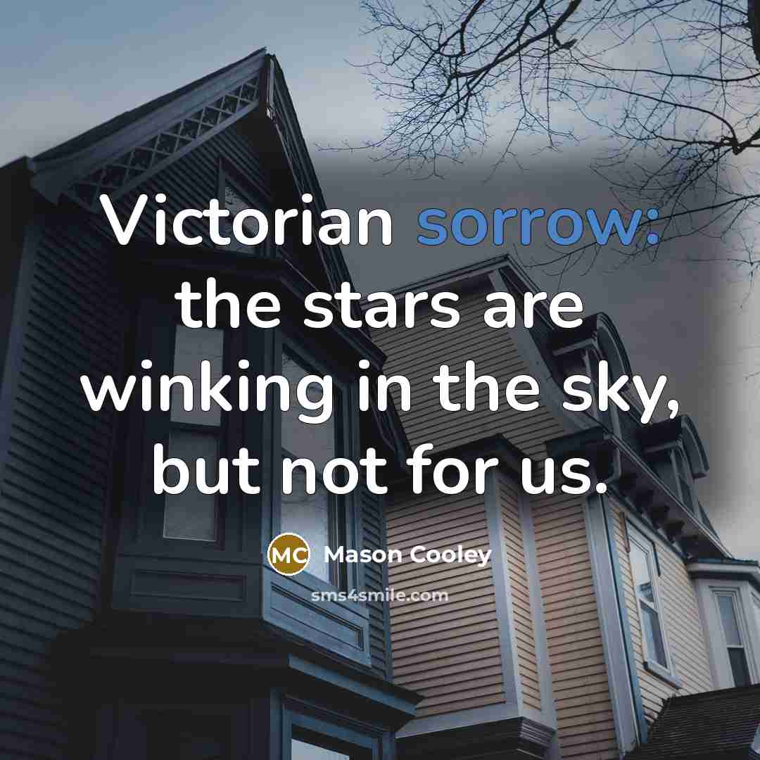 “Victorian sorrow: the stars are winking in the sky, but…” quote by Mason Cooley