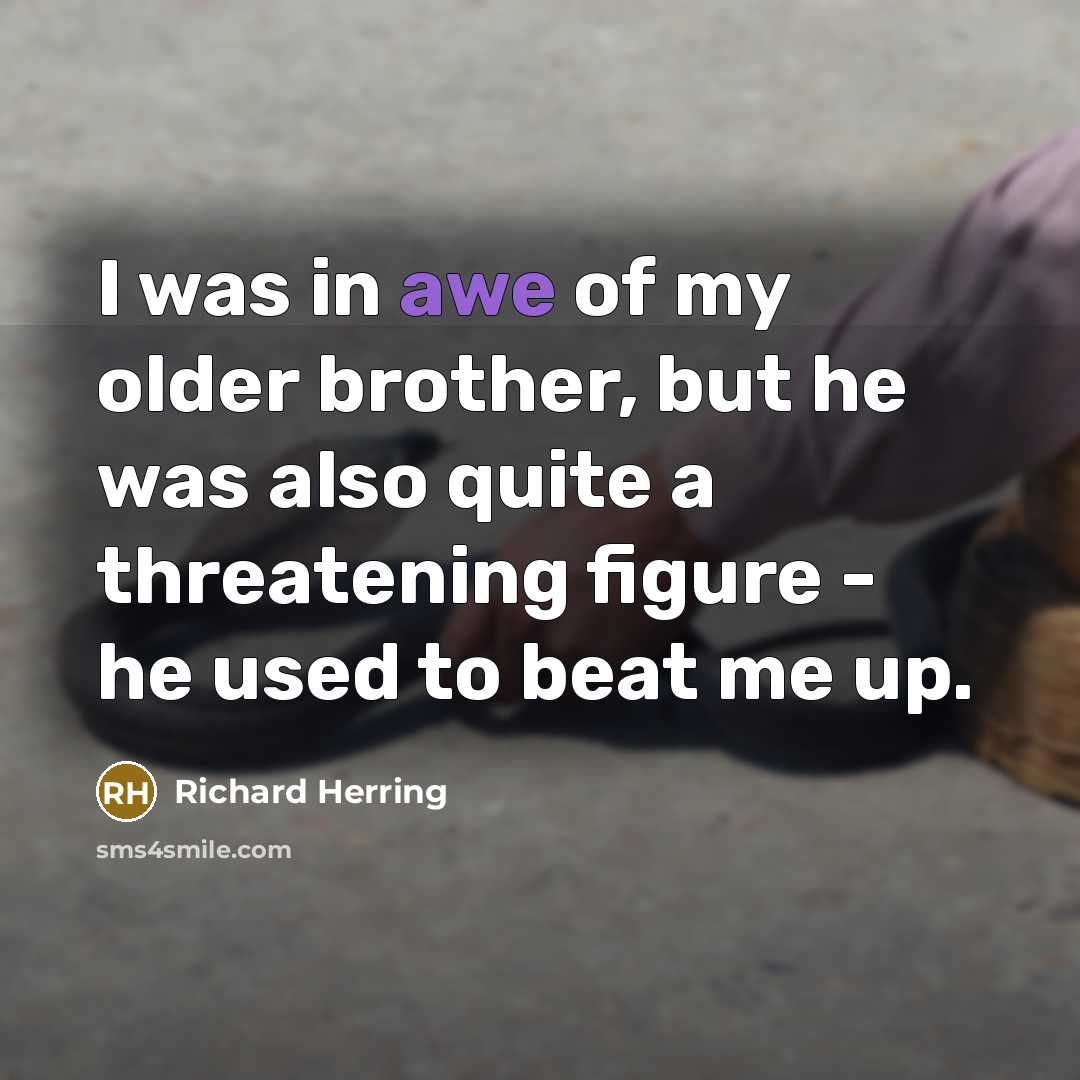 “I was in awe of my older brother, but he…” quote by Richard Herring