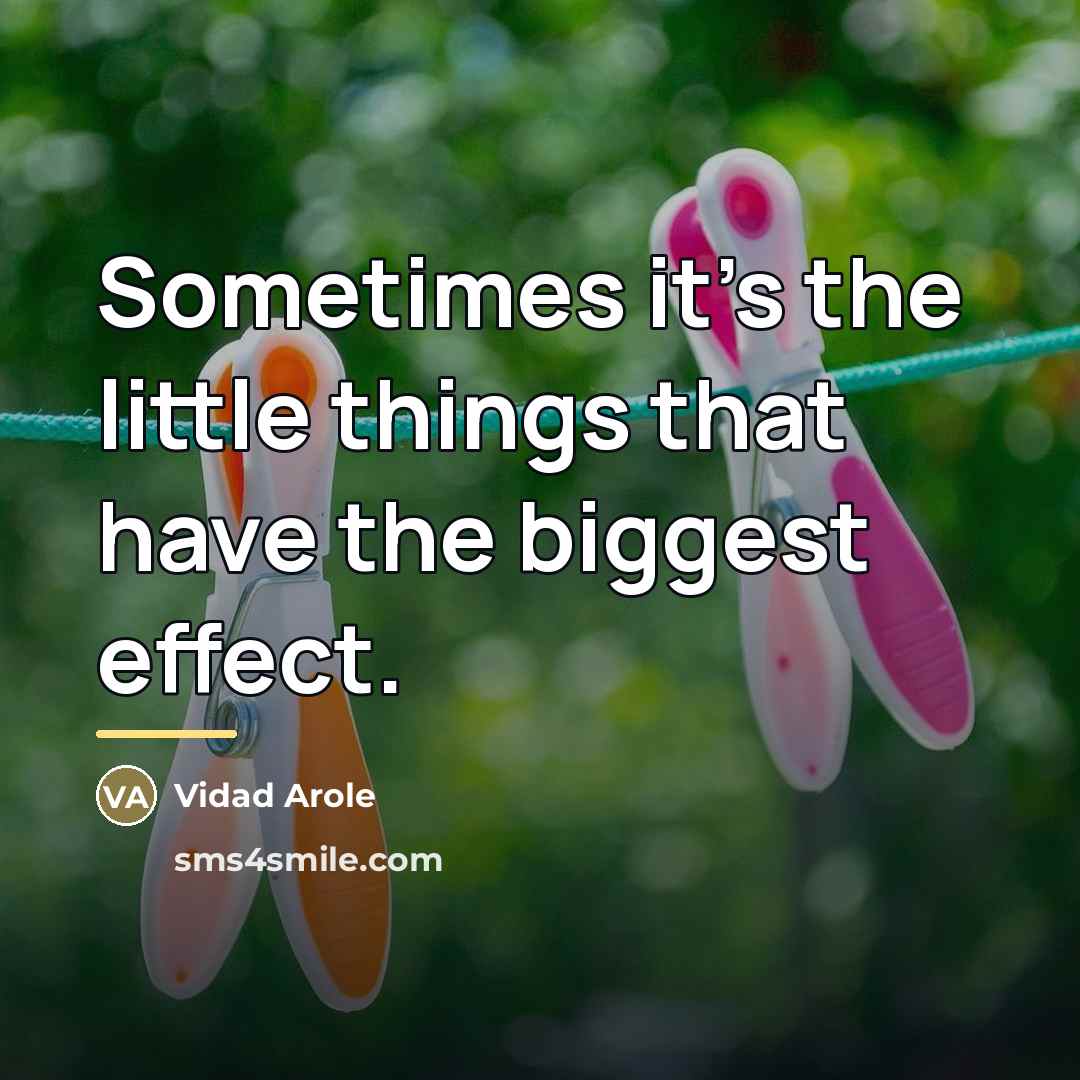 “Sometimes it's the little things that have the biggest effect.…” quote by Vidad Arole