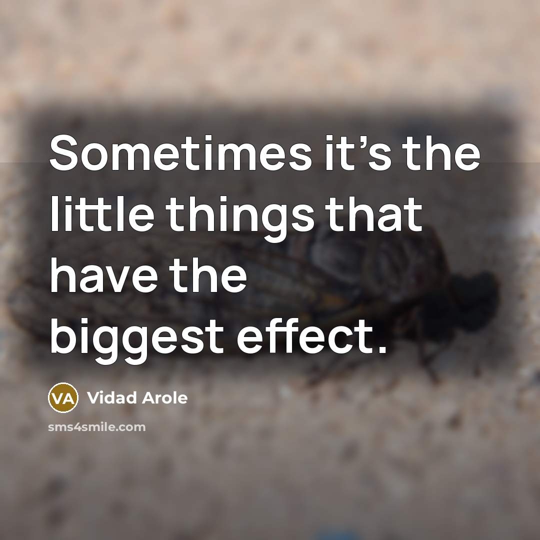 “Sometimes it's the little things that have the biggest effect.” quote by Vidad Arole