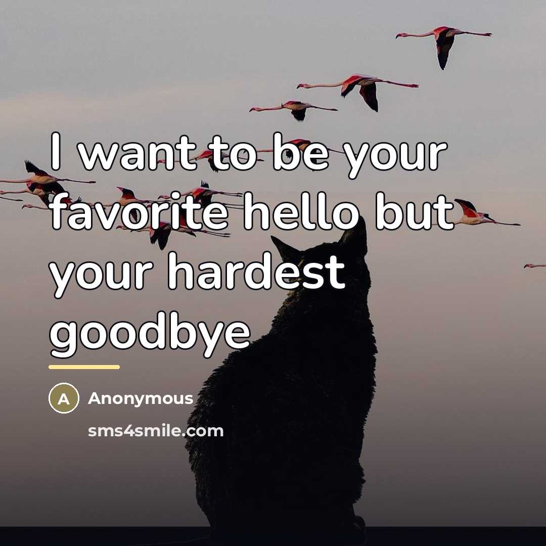 “I want to be your favorite hello but your hardest…” quote by Anonymous