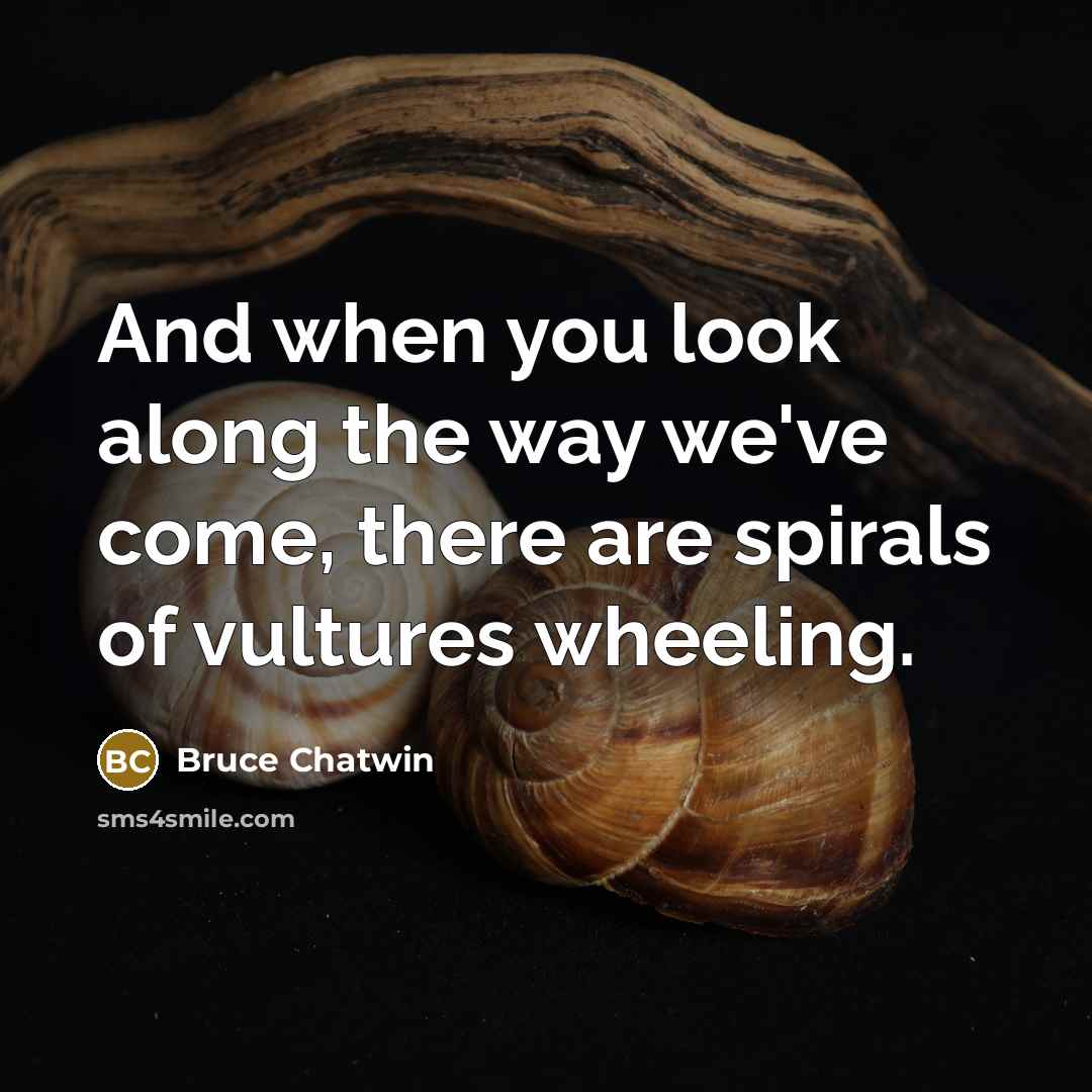 “And when you look along the way we've come, there…” quote by Bruce Chatwin