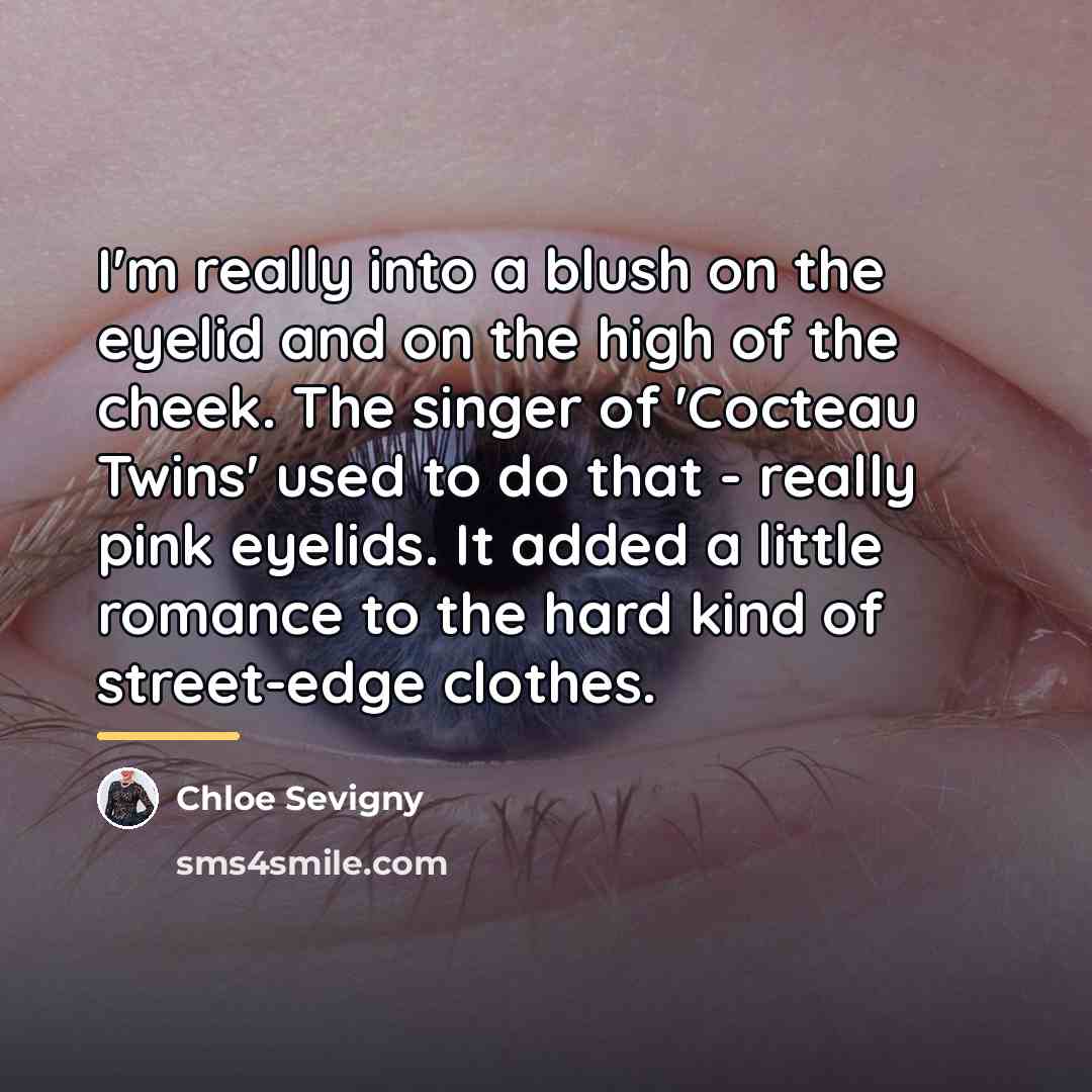 “I'm really into a blush on the eyelid and on…” quote by Chloe Sevigny