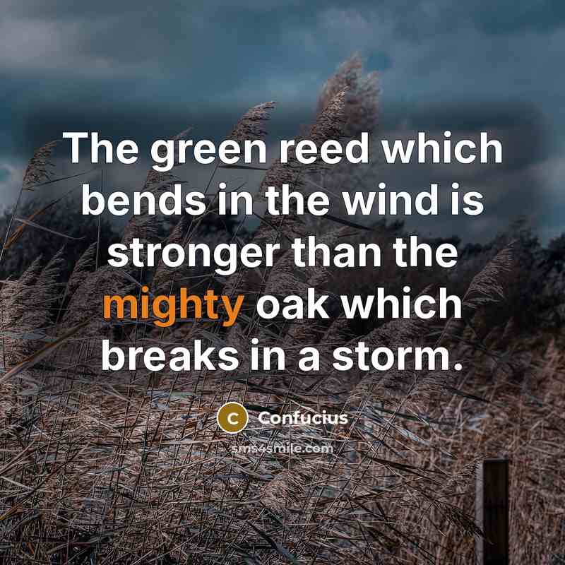 “The green reed which bends in the wind is stronger…” quote by Confucius
