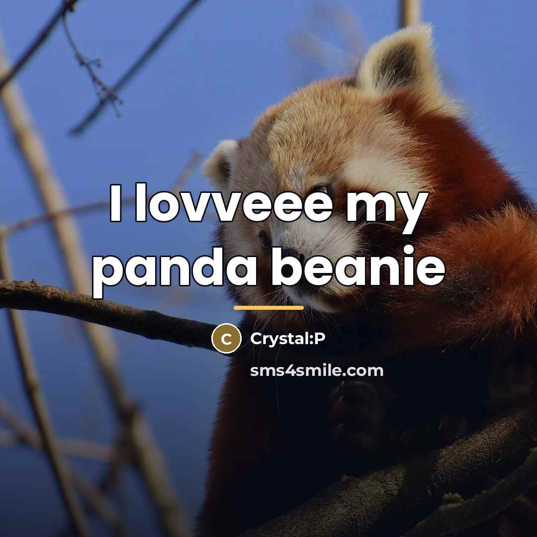 “I lovveee my panda beanie…” quote by Crystal:P