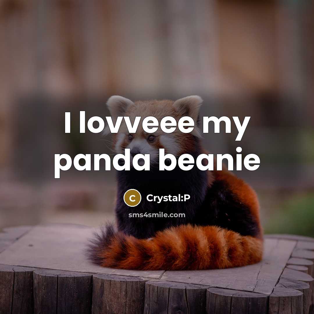 “I lovveee my panda beanie” quote by Crystal:P